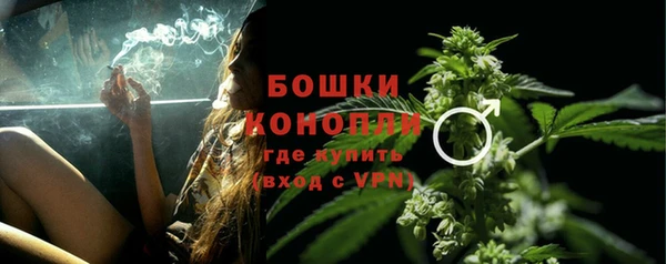 гидра Гатчина
