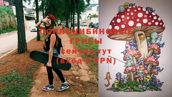 дмт Осинники